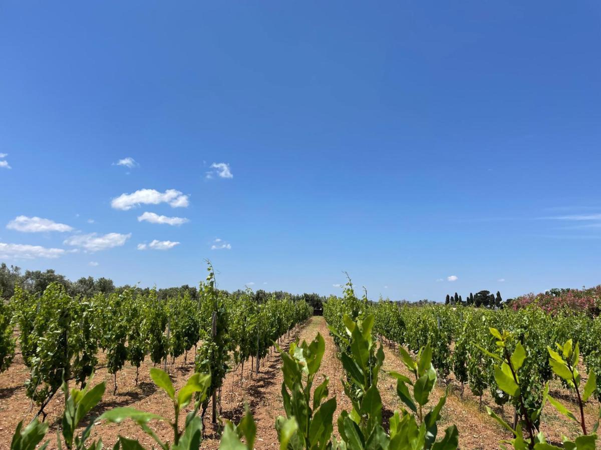 Agriturismo Terra Rossa Otranto Kültér fotó