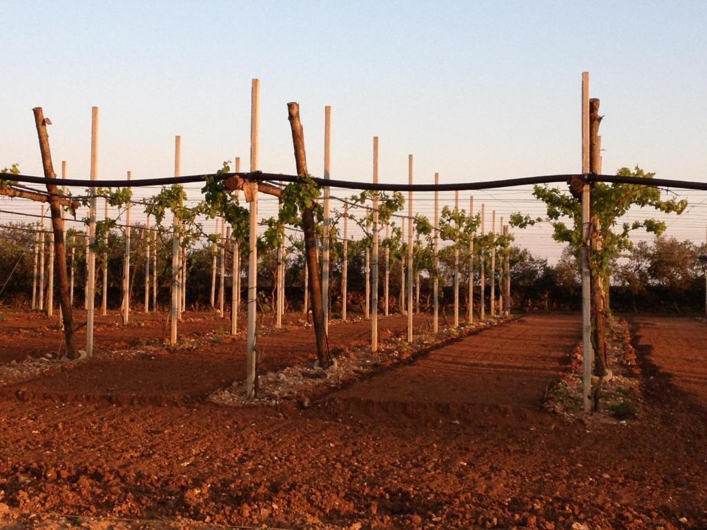 Agriturismo Terra Rossa Otranto Kültér fotó