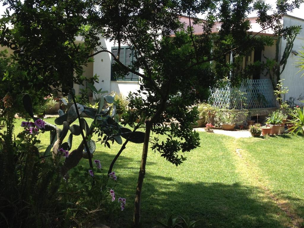 Agriturismo Terra Rossa Otranto Kültér fotó