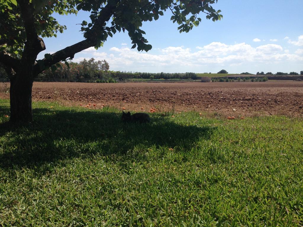 Agriturismo Terra Rossa Otranto Kültér fotó