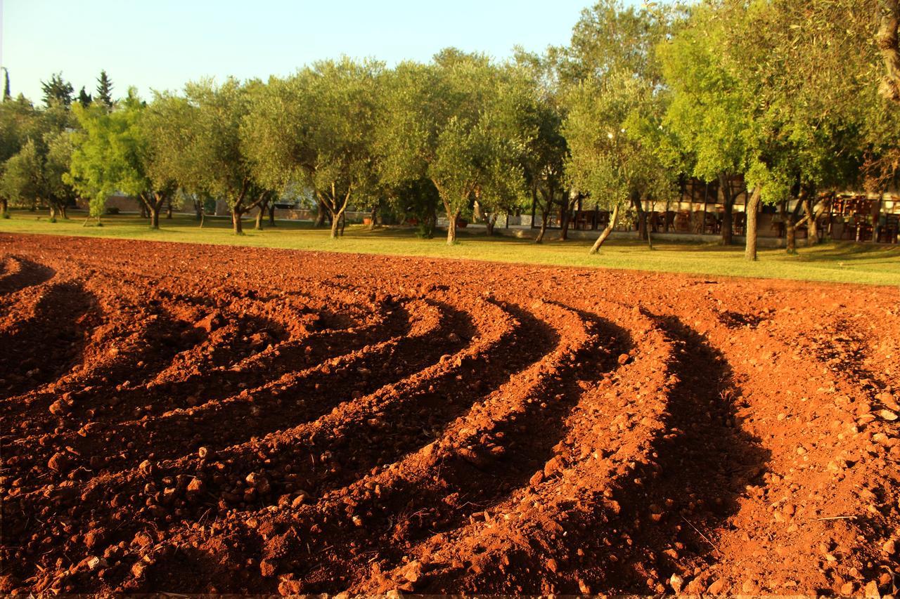 Agriturismo Terra Rossa Otranto Kültér fotó