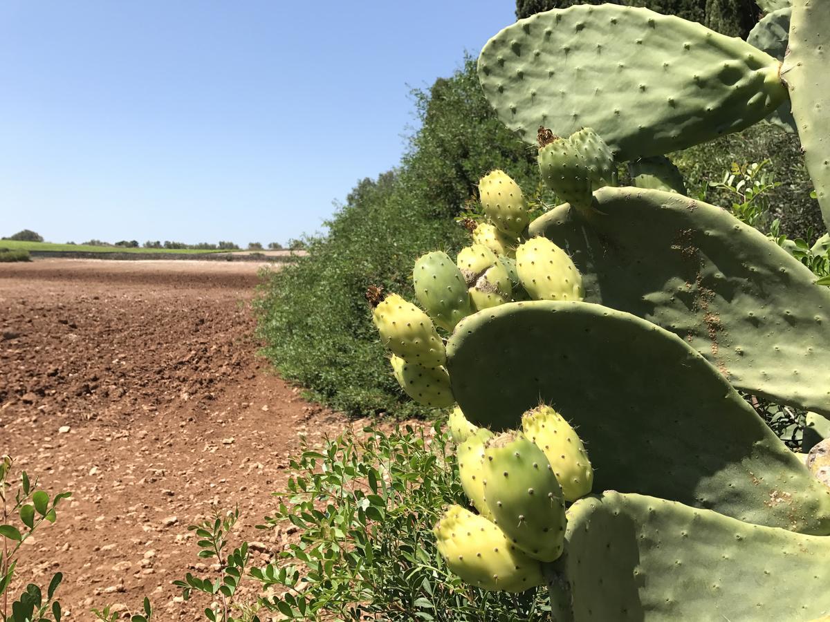 Agriturismo Terra Rossa Otranto Kültér fotó