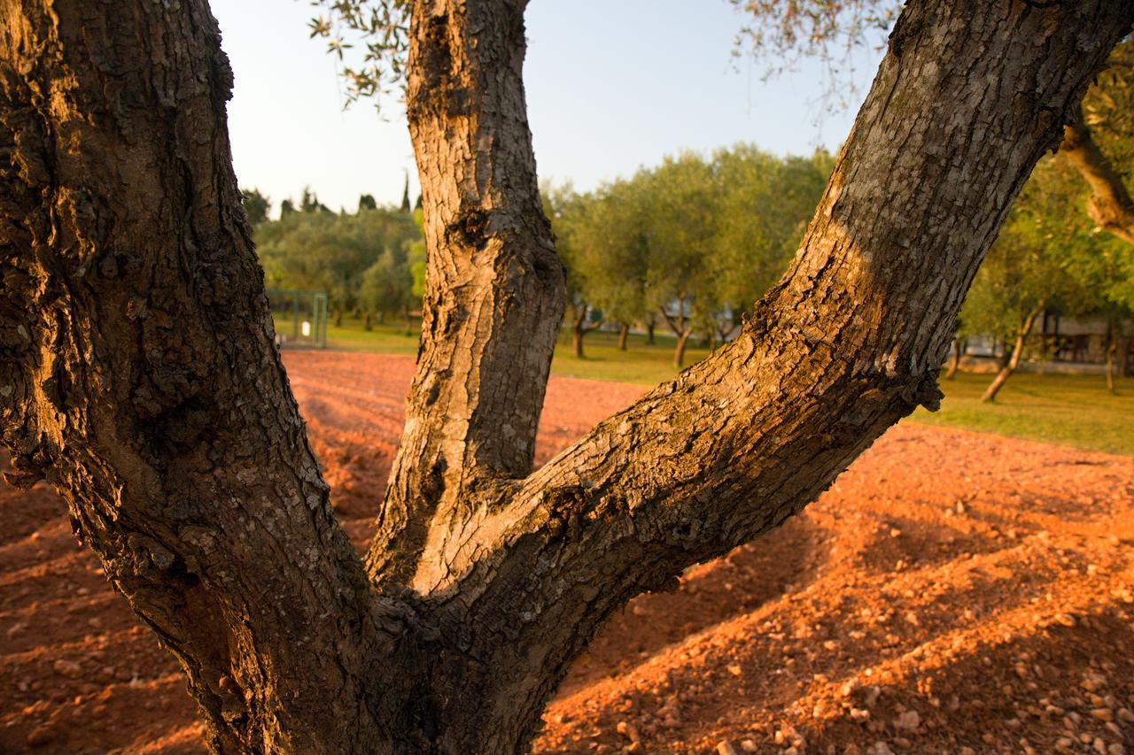 Agriturismo Terra Rossa Otranto Kültér fotó